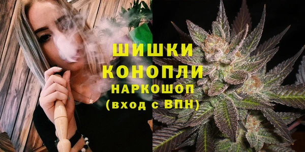 амф Аркадак