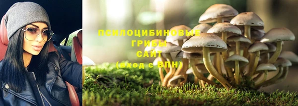 круглые Арсеньев
